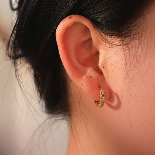 Lani Hoop Premium Earrings - 18K Gold Plated