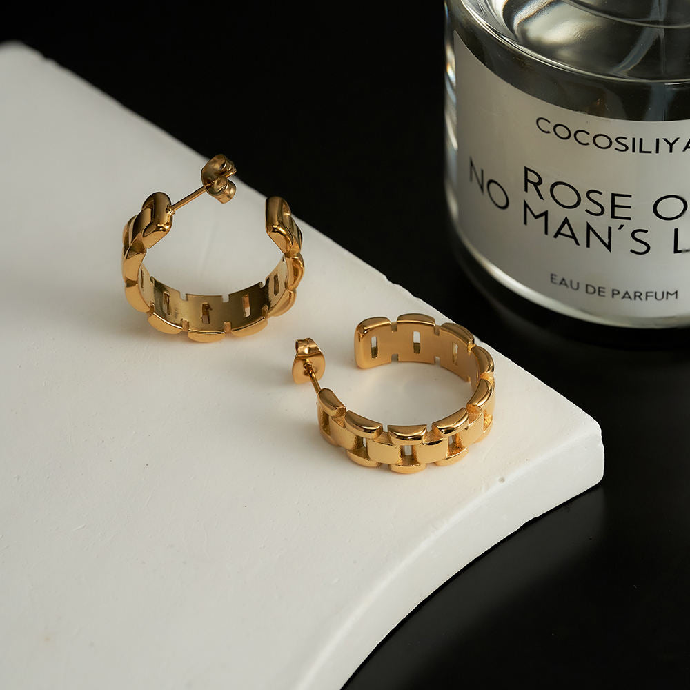 Link Designer Premium Earrings - 18K Gold Plated