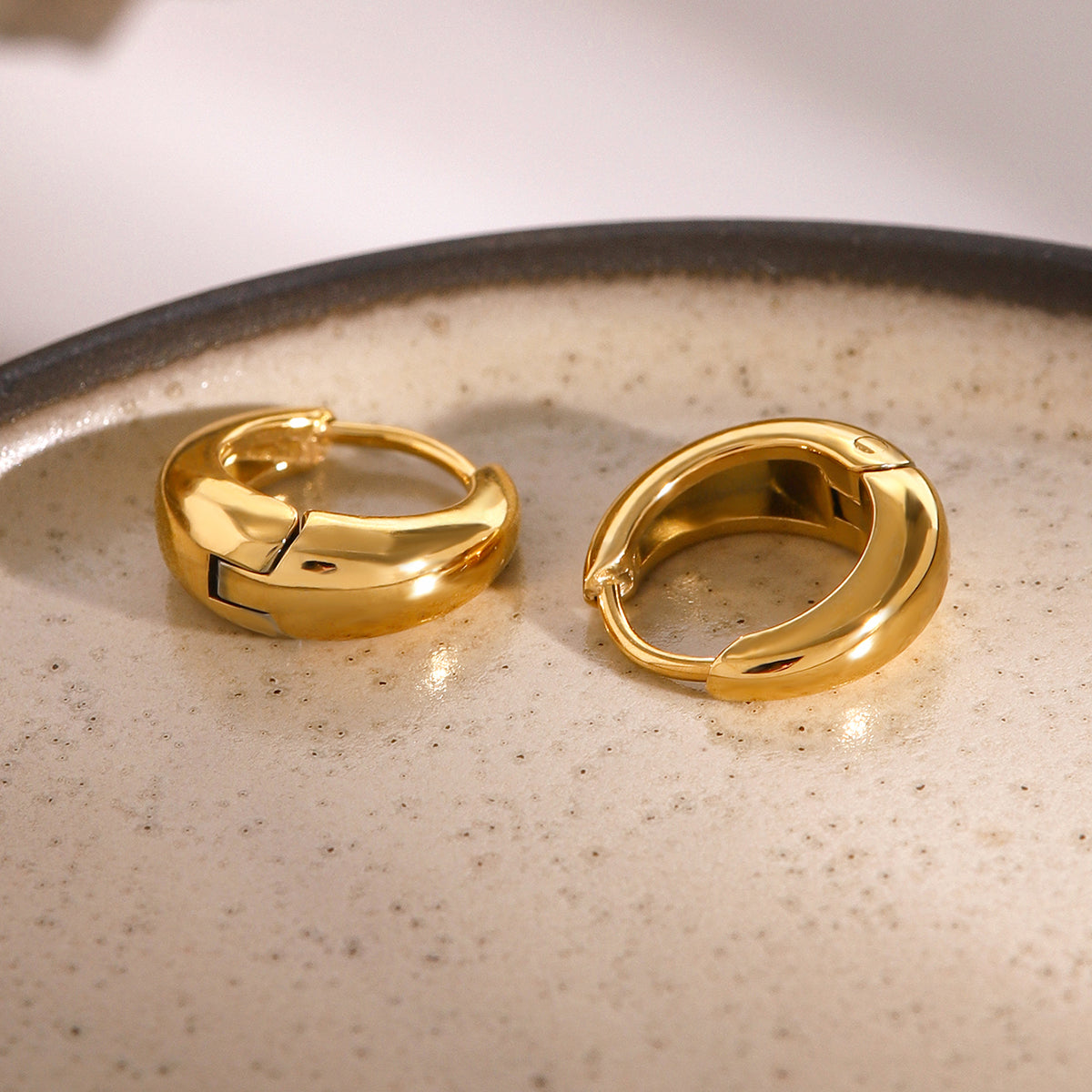 Risa Classic Hoops Premium Earrings - 18K Gold Plated