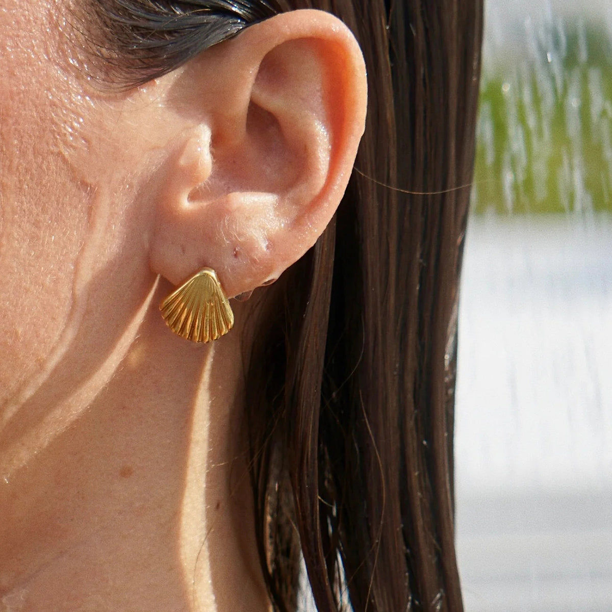 Seaside Shell Studs Premium Earrings - 18K Gold Plated